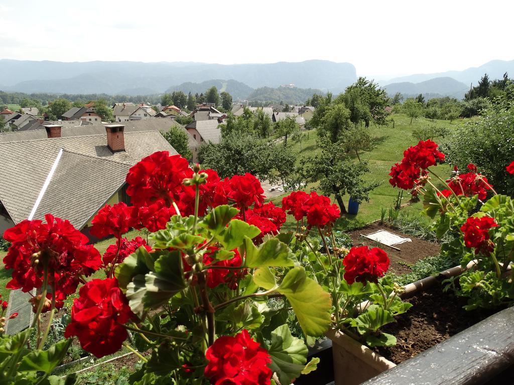 Garden Apartments Maria Bled Exterior foto